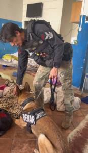 Foto: Reprodução/Polícia Civil - MS