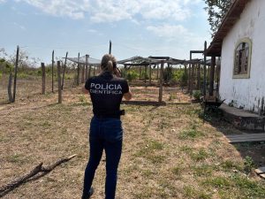 Foto: Reprodução/Polícia Civil - MS