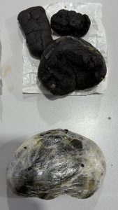 Foto: Reprodução/Polícia Civil - MS