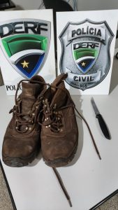 Foto: Reprodução/Polícia Civil - MS