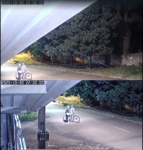 Foto: Reprodução/Polícia Civil - MS