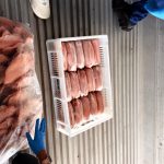 Foto: Reprodução/Polícia Civil - MS