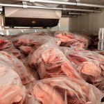 Foto: Reprodução/Polícia Civil - MS