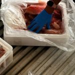 Foto: Reprodução/Polícia Civil - MS