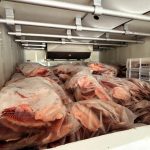 Foto: Reprodução/Polícia Civil - MS