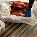 Foto: Reprodução/Polícia Civil - MS