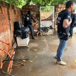 Foto: Reprodução/Polícia Civil - MS