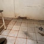 Foto: Reprodução/Polícia Civil - MS