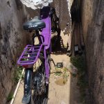 Foto: Reprodução/Polícia Civil - MS