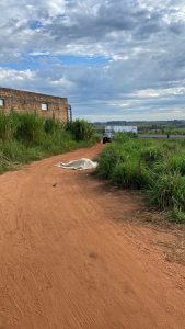 Foto: Reprodução/Polícia Civil - MS