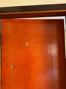 Foto: Reprodução/Polícia Civil - MS