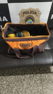 Foto: Reprodução/Polícia Civil - MS