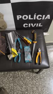 Foto: Reprodução/Polícia Civil - MS