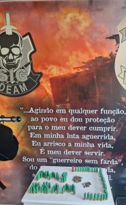 Foto: Reprodução/Polícia Civil - MS