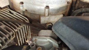 Foto: Reprodução/Polícia Civil - MS