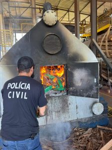 Foto: Reprodução/Polícia Civil - MS