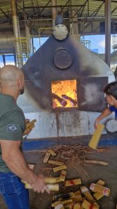 Foto: Reprodução/Polícia Civil - MS