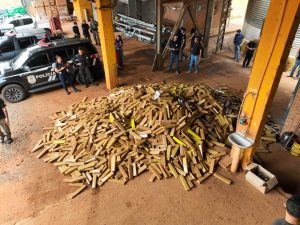 Foto: Reprodução/Polícia Civil - MS