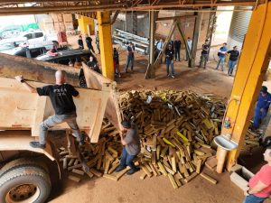 Foto: Reprodução/Polícia Civil - MS