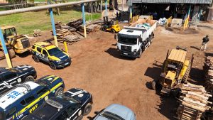 Foto: Reprodução/Polícia Civil - MS