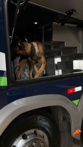 Foto: Reprodução/Polícia Civil - MS