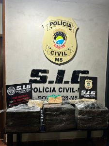 Foto: Reprodução/Polícia Civil - MS