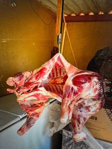 Foto: Reprodução/Polícia Civil - MS