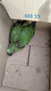 Foto: Reprodução/Polícia Civil - MS