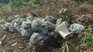 Foto: Reprodução/Polícia Civil - MS