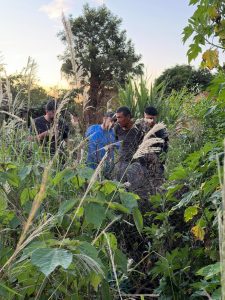 Foto: Reprodução/Polícia Civil - MS