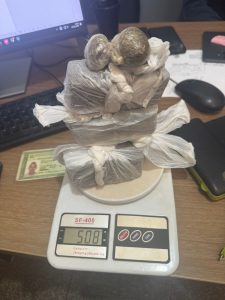 Foto: Reprodução/Polícia Civil - MS