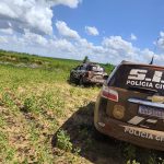 Foto: Reprodução/Polícia Civil - MS