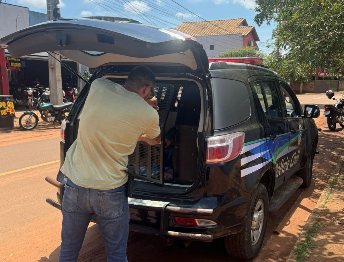 Policiais cumprem mandado de prisão por descumprimento de medida protetiva em Campo Grande