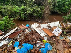 Foto: Reprodução/Polícia Civil - MS