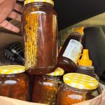 Foto: Reprodução/Polícia Civil - MS