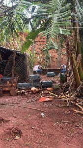 Foto: Reprodução/Polícia Civil - MS