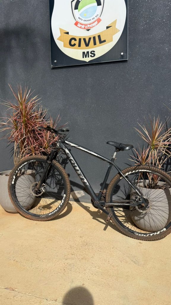 Foto: Reprodução/Polícia Civil - MS