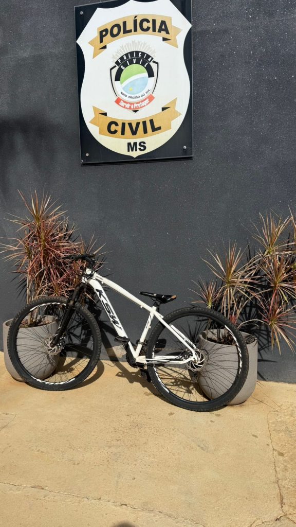 Foto: Reprodução/Polícia Civil - MS