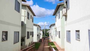 Foto: Reprodução/Polícia Civil - MS