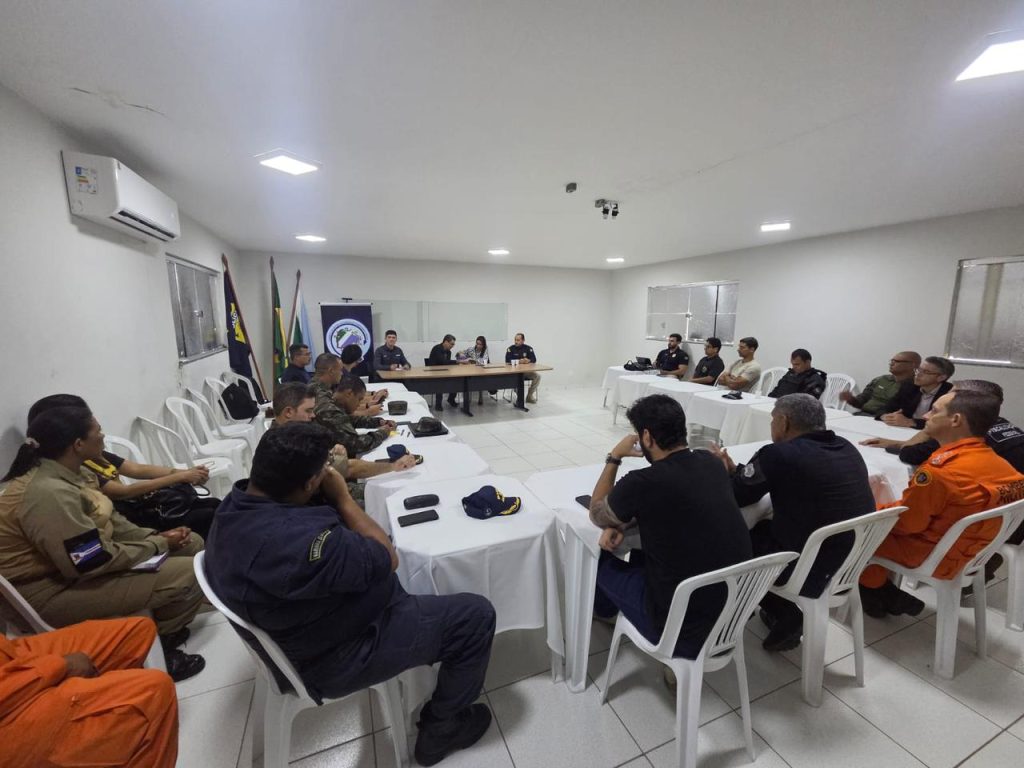 Foto: Reprodução/Polícia Civil - MS