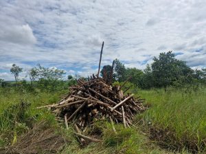 Foto: Reprodução/Polícia Civil - MS