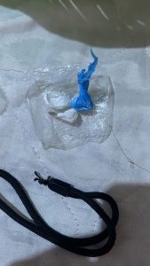 Foto: Reprodução/Polícia Civil - MS