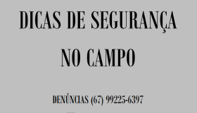 Capa Dicas de Segurança no Campo.