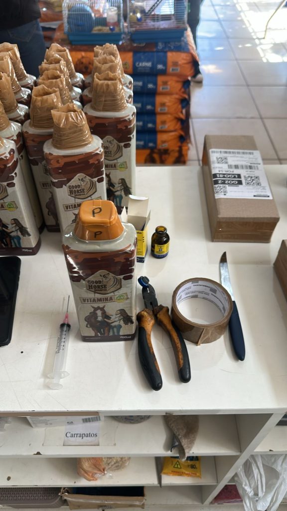 Foto: Reprodução/Polícia Civil - MS