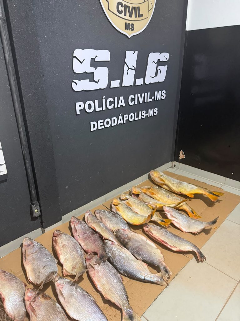 Peixe apreendido em Deodápolis